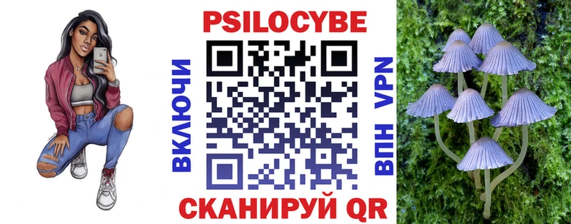 закладка  Юхнов  Галлюциногенные грибы Cubensis 